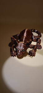 Кот СФИНКС/Cat "SPHINX " (1 фото из 5)
