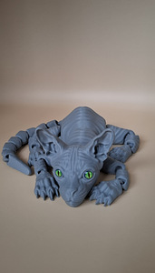 Кот СФИНКС/Cat "SPHINX " (3 фото из 5)