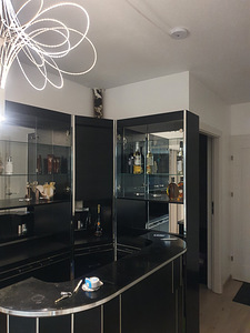 Baarinurk baarikapid LED-valgustusega (4 foto / 10)