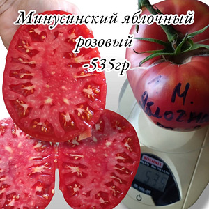 МИНУСИНСКИЕ семена томатов (10 фото из 10)