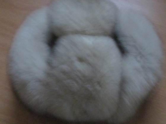 2 hõberebase mütsi