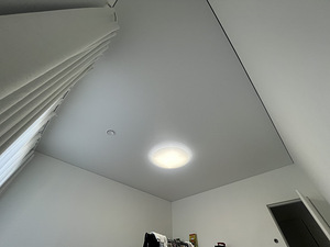 Pinglaed (3 foto / 6)