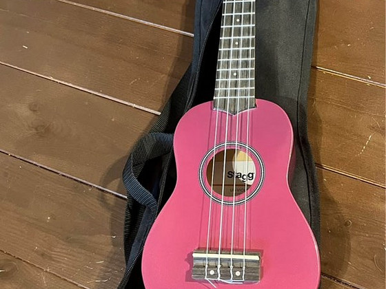 Ukulele stagg