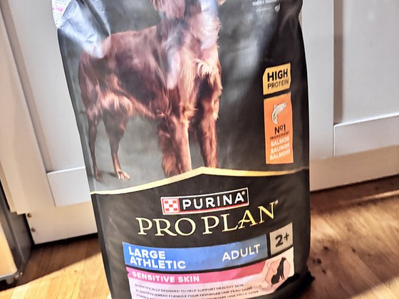 Pro plan