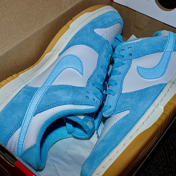 Nike Dunk Low SE