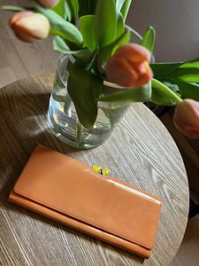 Б/у сумка Ted Baker (1 фото из 6)