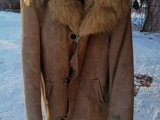 Одежда