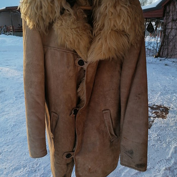Одежда