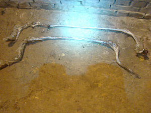 Mercedes S124, 2,5 D vedrude komplekt (2 foto / 8)