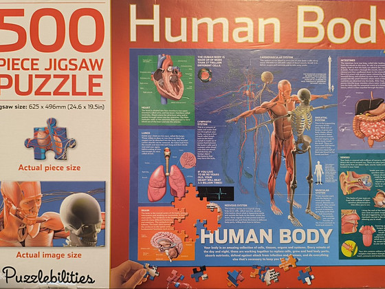 Пазл "Human Body" 500 шт