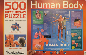 Пазл "Human Body" 500 шт (1 фото из 2)