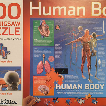 Pusle "Human Body" 500 tk