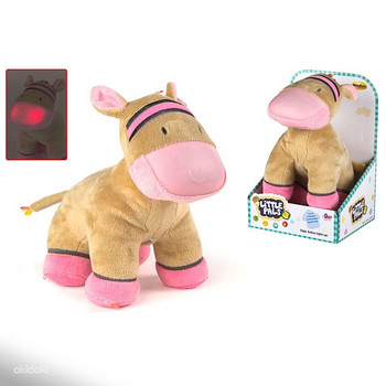 Win Fun Zebra