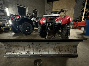 Honda trx 420 FM (8 фото из 10)