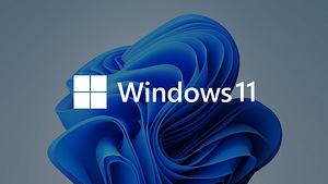 Установка Windows 11 или Linux Ubuntu (1 фото из 1)