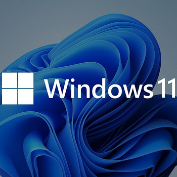 Установка Windows 11 или Linux Ubuntu