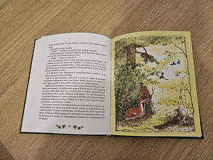 Бэмби новая книга (3 фото из 3)