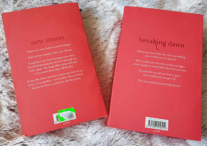 Stephenie Meyer. Videvik. 2 raamatut inglise keeles (2 foto / 4)