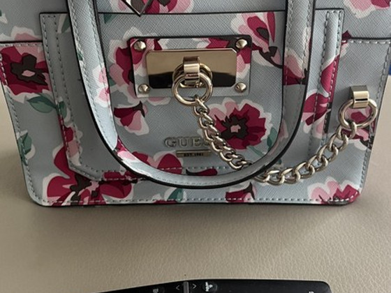 Guess kott