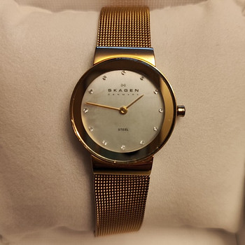 Часы SKAGEN