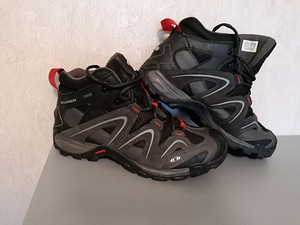 Salomon (1 фото из 10)