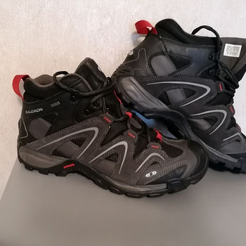 Salomon