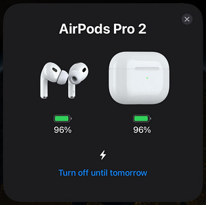 AirPods Pro 2 (4 фото из 4)