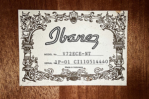 Kitarr Ibanez (4 foto / 4)