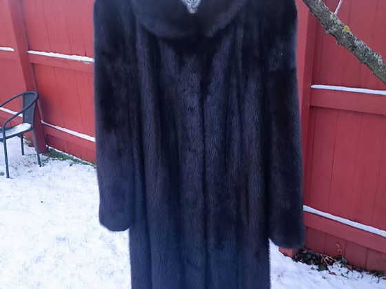 Pikk naaritsa kasukas