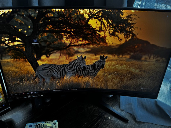 Monitor