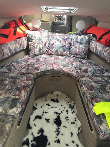 Crownline 210CCP+ koos haagisega – hind on alandatud oktoobr (5 foto / 10)
