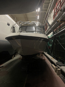 Crownline 210CCP+ koos haagisega – hind on alandatud oktoobr (7 foto / 10)
