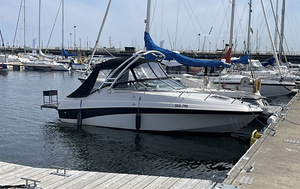 Crownline 210CCP+ koos haagisega – hind on alandatud oktoobr (1 foto / 10)