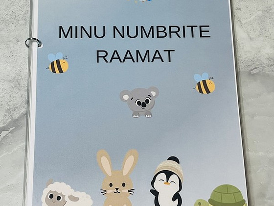 Minu numbrite raamat