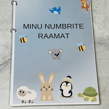 Minu numbrite raamat