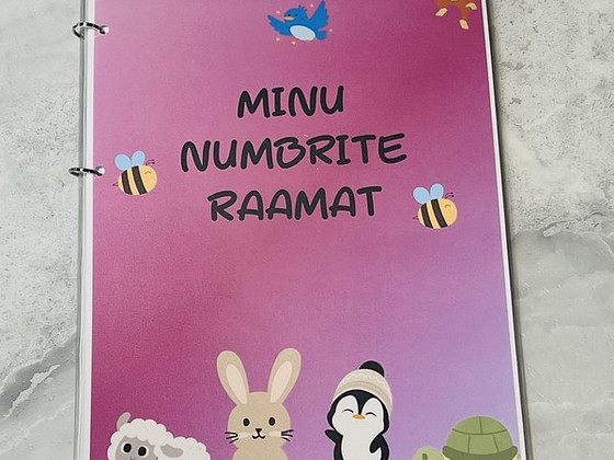 Minu numbrite raamat