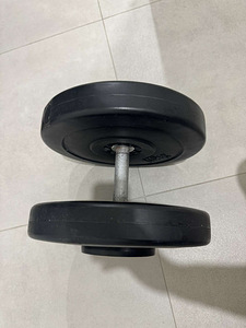 Hantlel / гантель 22.5kg (1 фото из 2)
