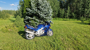 Kawasaki zx600f (6 foto / 8)