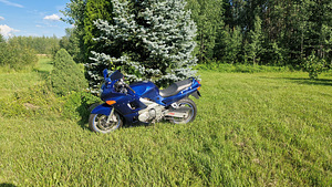 Kawasaki zx600f (7 foto / 8)