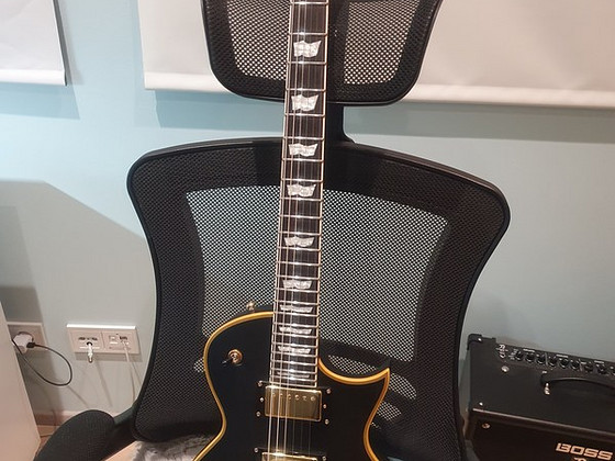 Kasutatud ESP LTD EC-1000VB/Duncan elektrikitarr