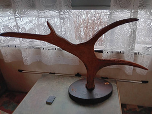 Sarved (2 foto / 2)