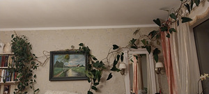 Lill potiga (2 foto / 3)