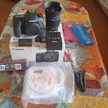Цифровая зеркальная камера Canon EOS 80D с объективом EF-S 1