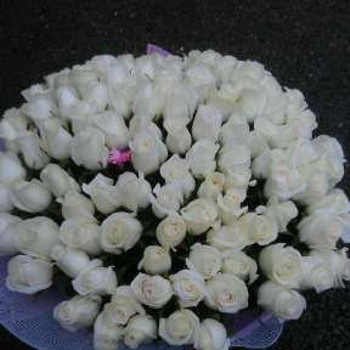 Florist