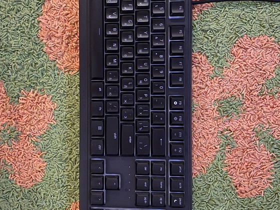 КЛАВИАТУРА RAZER ORNATA V3 100%