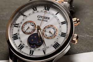 Citizen Moon Phase Eco-Drive tsekk, karp! (1 foto / 6)