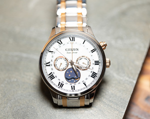 Citizen Moon Phase Eco-Drive tsekk, karp! (6 foto / 6)