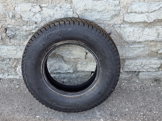Bridgestone Blizzak DM-V2