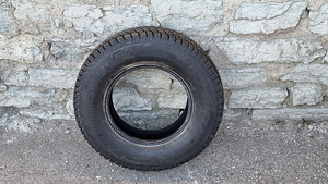 Bridgestone Blizzak DM-V2 (1 фото из 2)