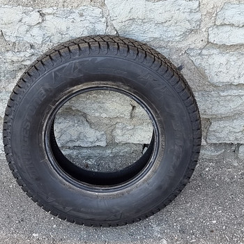 Bridgestone Blizzak DM-V2